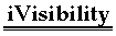 iVisibility.com